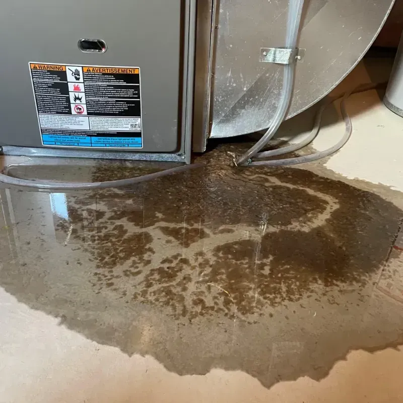 Appliance Leak Cleanup in Saint James, NC